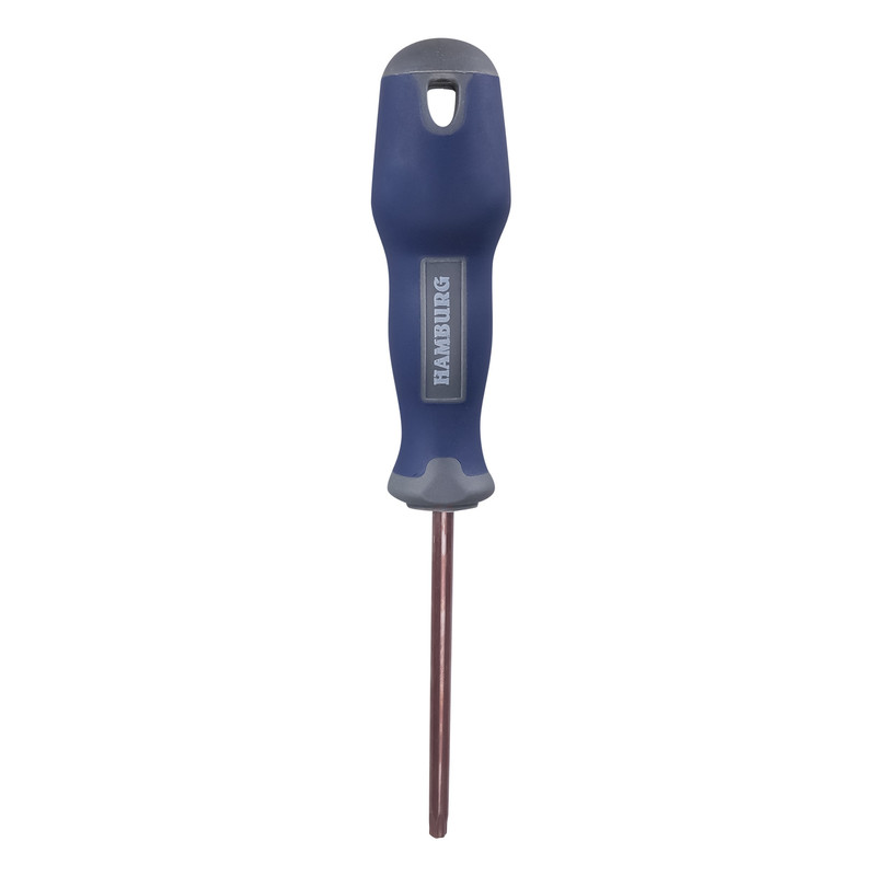 پیچ گوشتی ستاره ای هامبورگ مدل HAM -T 15 -S2