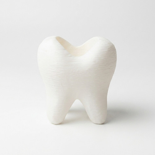 جامسواکی مدل tooth