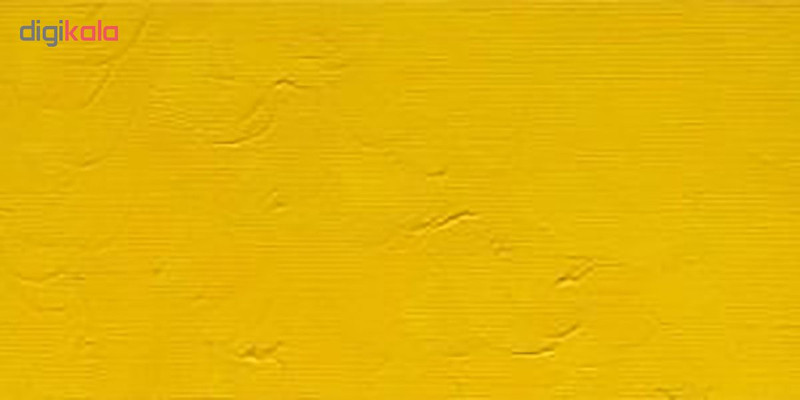 رنگ روغن وینزور اند نیوتن
مدل CADMIUM PALE HUE 8 حجم 37 میلی لیتر