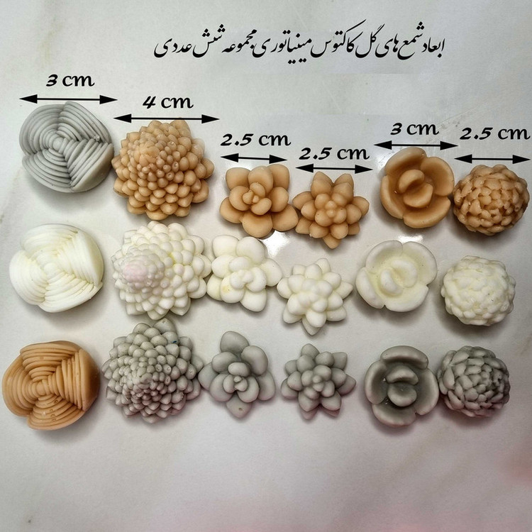 قالب شمع میتنگون مدل گل های کاکتوس مینیاتوری مجموعه 6 عددی