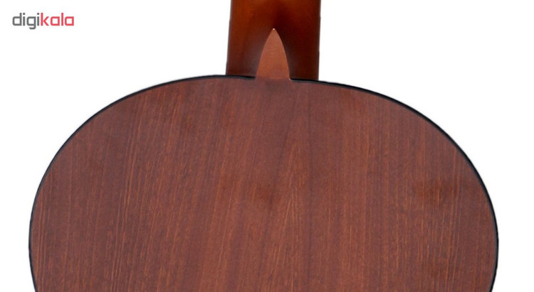 گیتار پارسی مدل M2