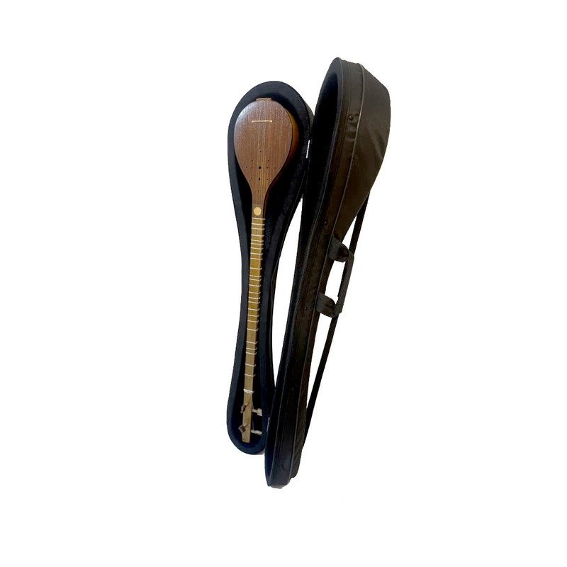 هارد کیس سه تار مدل MP01919