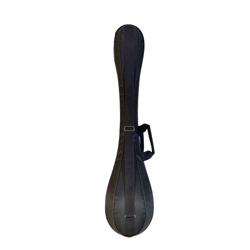 هارد کیس سه تار مدل MP01919