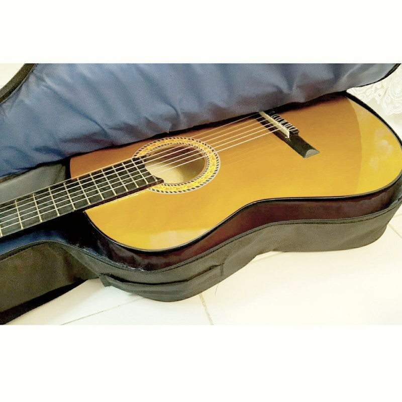 گیتار مدل c70