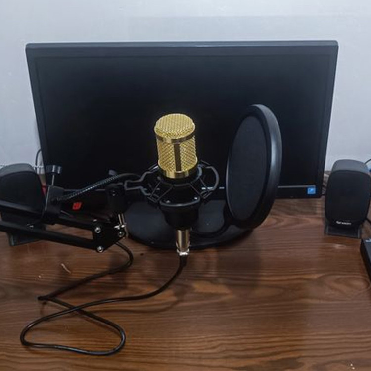 میکروفون استودیویی مدل BM800 کد M9 به همراه کارت صدا