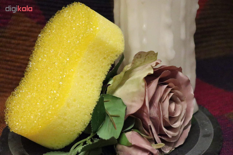 اسفنج حمام نیکولز مدل body care