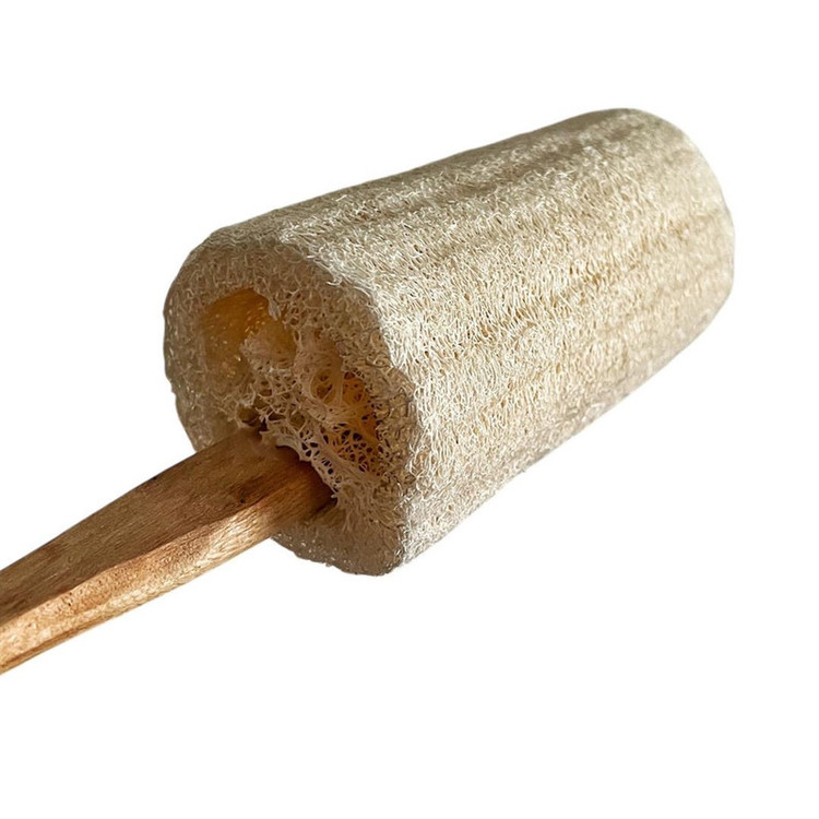 برس شستشوی بدن ساندی مدل لوفا کد L-77135
