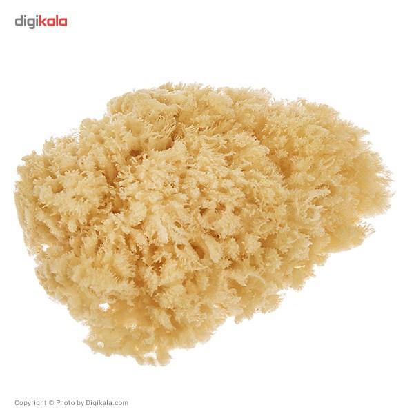اسفنج شست و شوی بدن سوآوی پیل سری Natural مدل Sea