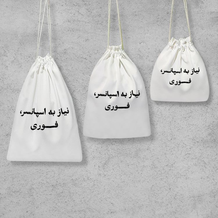 نظم دهنده خندالو مدل نیاز به اسپانسر فوری کد 10594 مجموعه 3 عددی