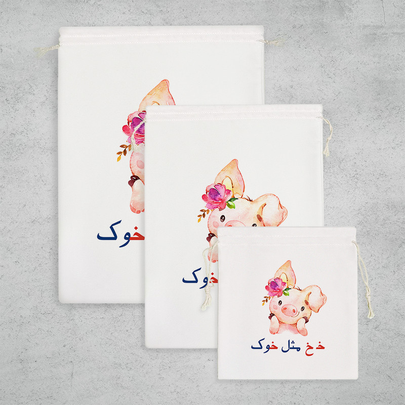 نظم دهنده خندالو مدل جشن الفبا خـ خ مثل خوک کد S65 مجموعه 3 عددی