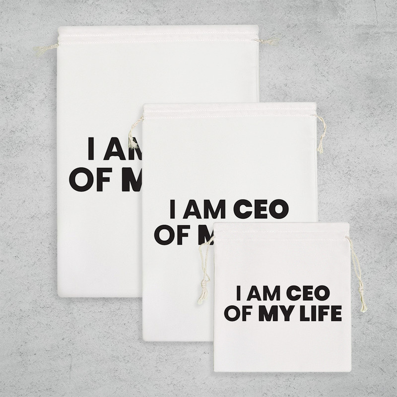 نظم دهنده خندالو مدل I Am Ceo Of My Life کد 6446 مجموعه 3 عددی