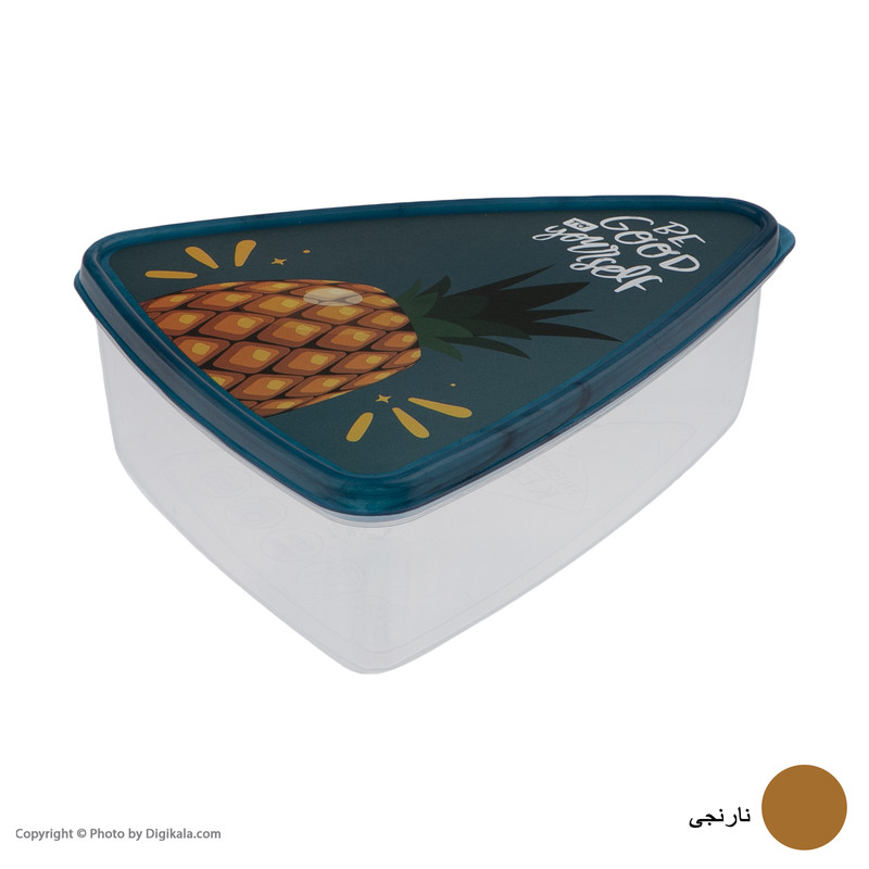 ظرف نگهدارنده فرش کیپس مدل 001 بسته 3 عددی