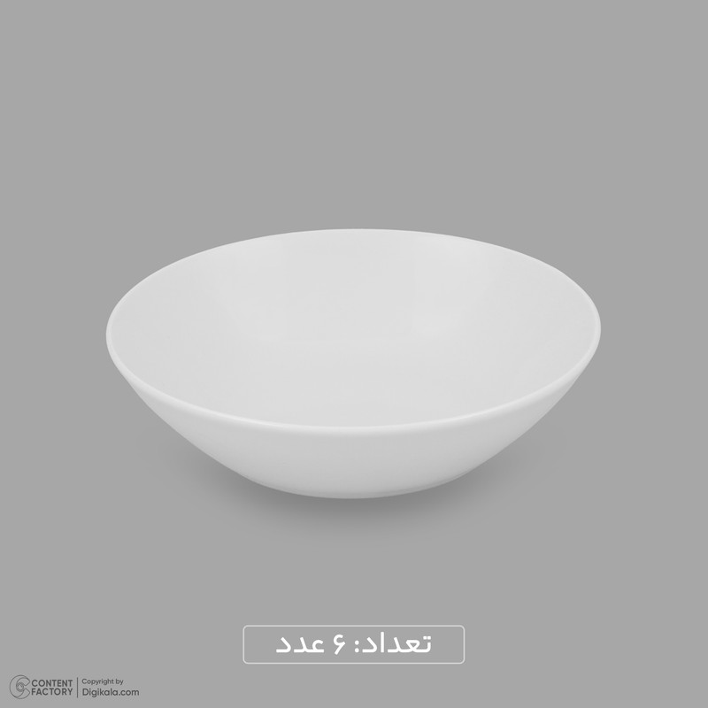 سرویس غذاخوری چینی 25 پارچه 6 نفره مقصود مدل دایره کد 008