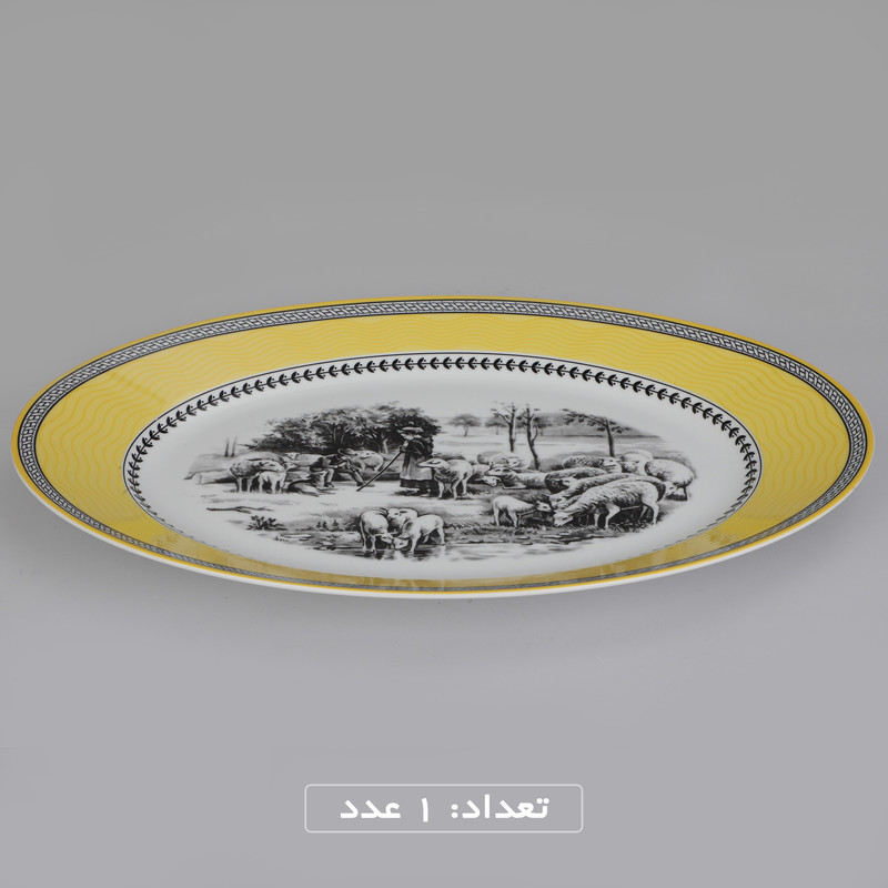 سرویس چینی 102 پارچه غذا خوری چینی زرین ایران سری ایتالیا اف مدل ویلیج درجه یک