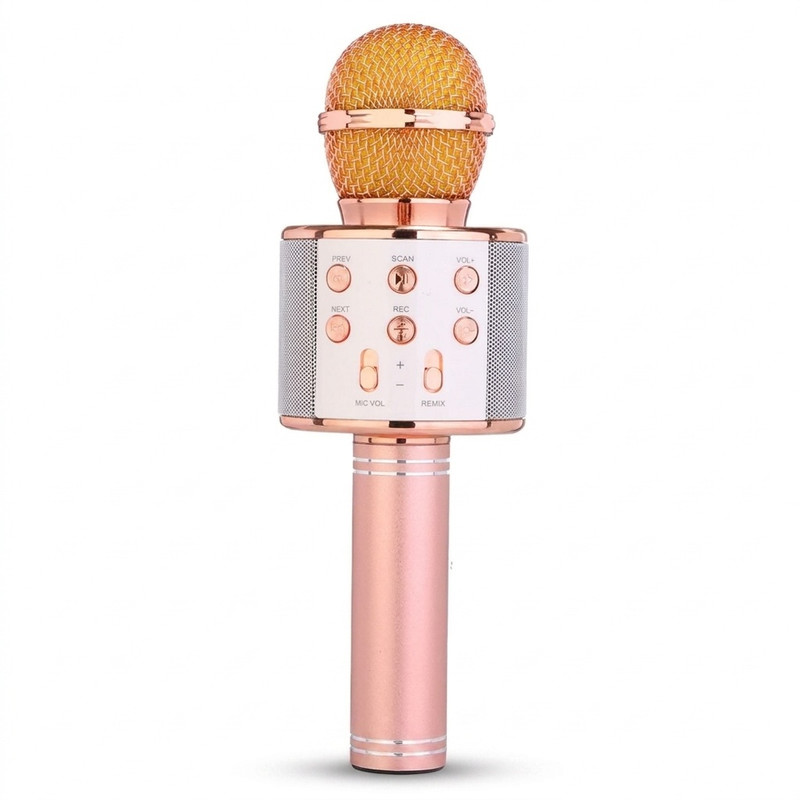میکروفون اسپیکر مدل WS-858