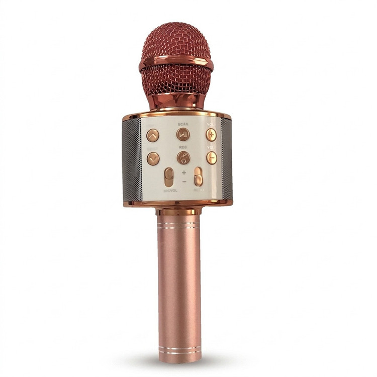 میکروفون اسپیکر مدل WS-858