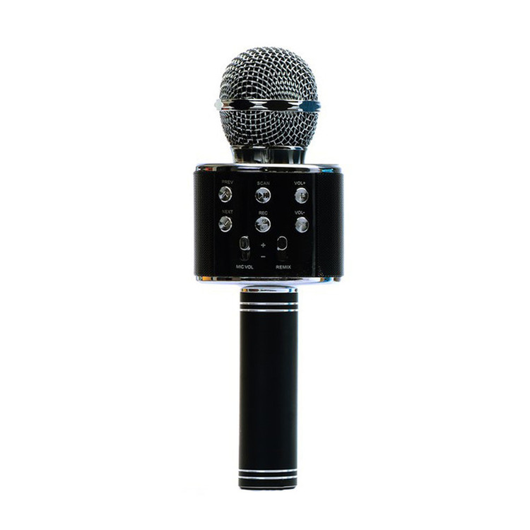میکروفون اسپیکر مدل RESA WS-858