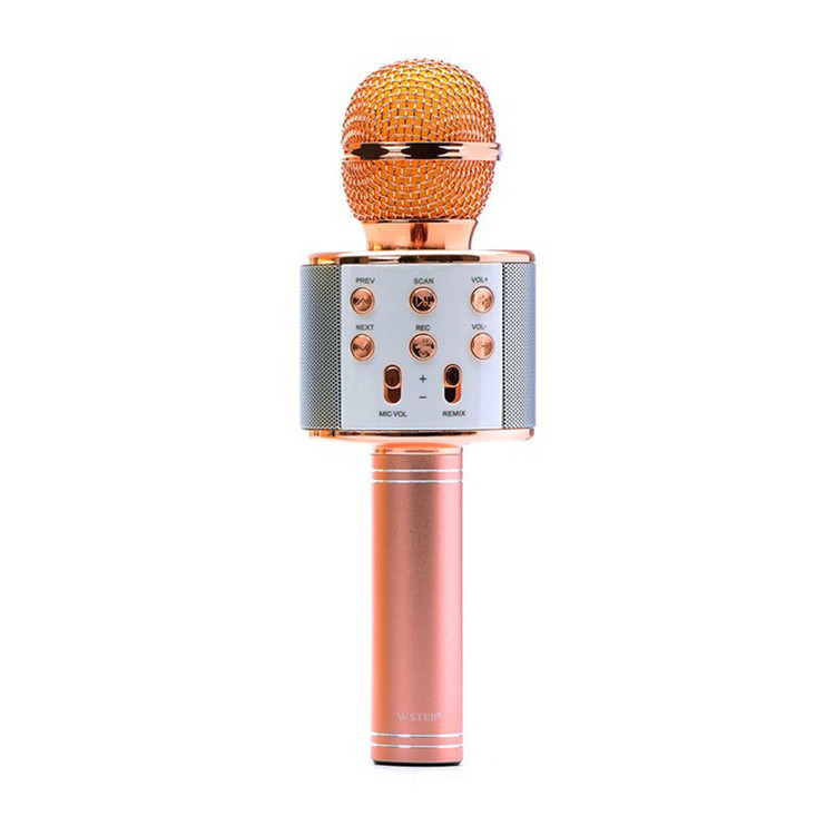 میکروفون اسپیکر مدل RESA WS-858