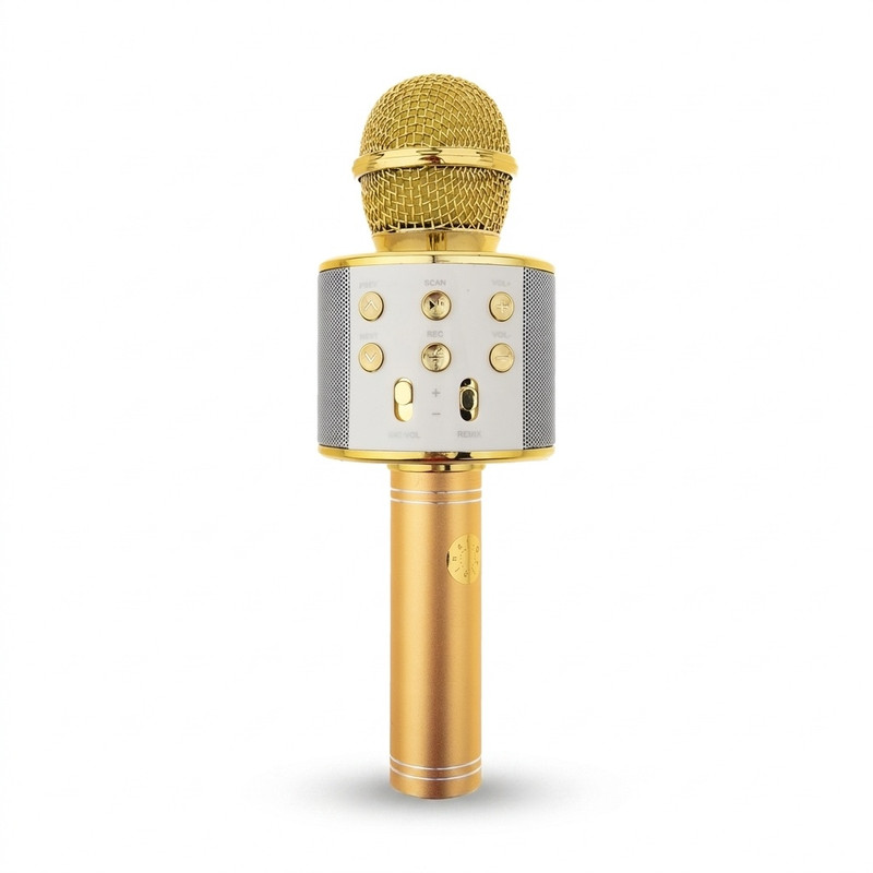 میکروفون اسپیکر مدل WS-858