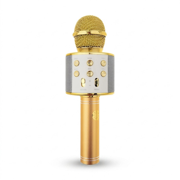 میکروفون اسپیکر مدل WS-858